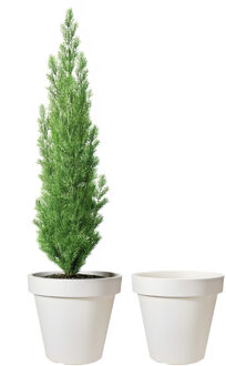 Pro Garden Bloempot - 2x - wit - rond - D50 cm - kunststof - plantenpot - tuin buiten