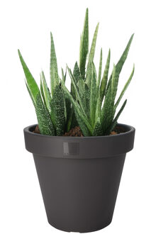 Pro Garden Bloempot - antraciet - rond - D20 cm - kunststof - plantenpot - tuin buiten