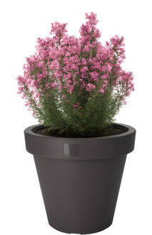 Pro Garden Bloempot - antraciet - rond - D25 cm - kunststof