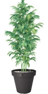 Pro Garden Bloempot e&k rond 50 serie, an Zwart