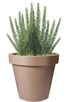 Pro Garden Bloempot - mokka bruin - rond - D20 cm - kunststof - plantenpot - tuin buiten