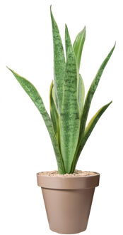 Pro Garden Bloempot - mokka bruin - rond - D40 cm - kunststof