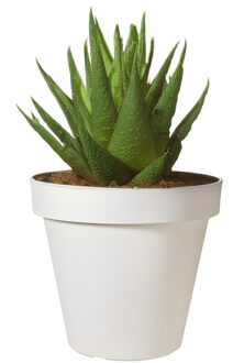 Pro Garden Bloempot - wit - rond - D20 cm - kunststof