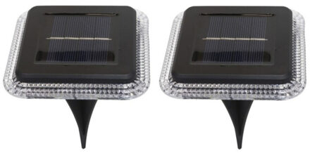 Pro Garden Buiten lampje/prik spots - 2x - solar verlichting - tuinpad/plant verlichting - LED - 10 cm