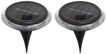 Pro Garden buiten lampje/prik spots - set 2x - solar verlichting - tuinpad/plant verlichting - LED