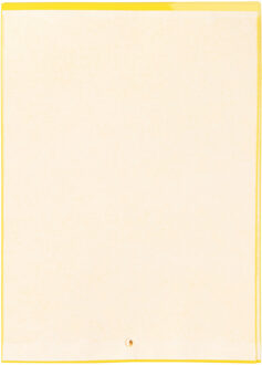 Pro Garden Fruitvliegjes val fruit hangende plaatjes - 9x stickers - insecten/vliegen bestrijding