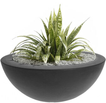 Pro Garden Plantenschaal Rond 52 X 20 Cm Kunststof Antraciet