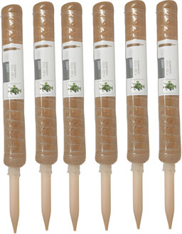 Pro Garden plantenstok kokos - 6x - eucalyptushout - D4,5 x H50 cm - plantensteun
