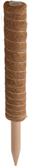 Pro Garden plantenstok kokos - eucalyptushout - D4,5 x H40 cm - plantensteun