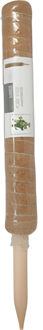 Pro Garden plantenstok kokos - eucalyptushout - D4,5 x H50 cm - plantensteun