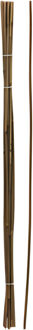 Pro Garden Plantenstokken - 10x - bamboe - H118 cm - plantensteun