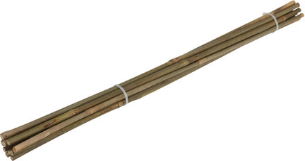 Pro Garden Plantenstokken - 10x - bamboe - H60 cm - plantensteun - bamboestokken/tonkinstokken