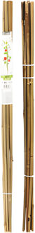 Pro Garden Plantenstokken - 10x - bamboe - H79 cm - plantensteun - bamboestokken/tonkinstokken