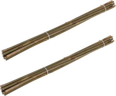 Pro Garden Plantenstokken - 20x - bamboe - H60 cm - plantensteun - bamboestokken/tonkinstokken