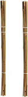 Pro Garden Plantenstokken - 20x - bamboe - H79 cm - plantensteun - bamboestokken/tonkinstokken