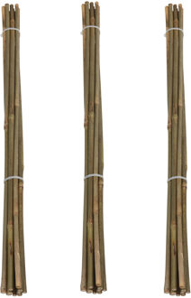 Pro Garden Plantenstokken - 30x - bamboe - H60 cm - plantensteun - bamboestokken/tonkinstokken