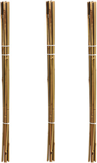 Pro Garden Plantenstokken - 30x - bamboe - H79 cm - plantensteun - bamboestokken/tonkinstokken