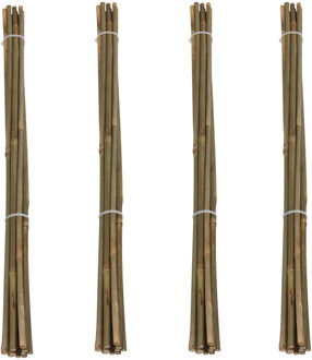 Pro Garden Plantenstokken - 40x - bamboe - H60 cm - plantensteun - bamboestokken/tonkinstokken