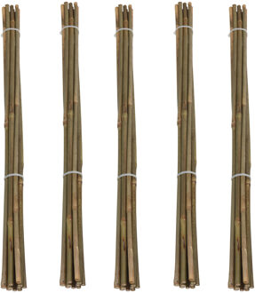 Pro Garden Plantenstokken - 50x - bamboe - H60 cm - plantensteun - bamboestokken/tonkinstokken