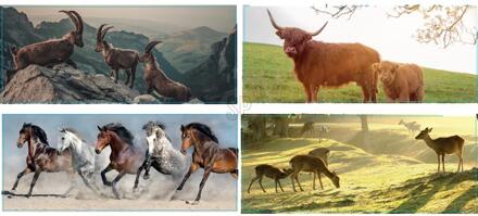 Pro Garden Tuinposter 110x45cm PVC multi