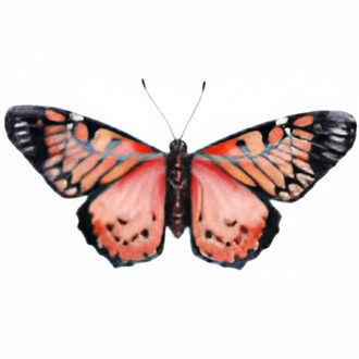 Pro Garden Wanddecoratie vlinder - rood - 49 x 34 cm - metaal - muurdecoratie / schutting / tuin