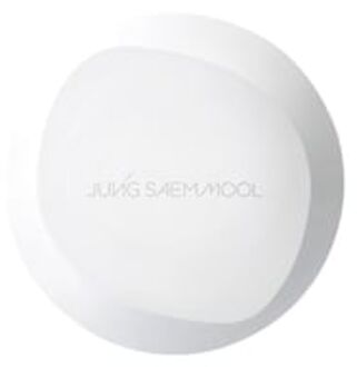 Pro-Lasting Flawless Fit Mesh Cushion - 6 Colors #19 Fair Light