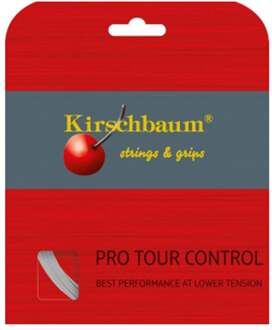 Pro Tour Control Set Snaren-Zilver - 1.33