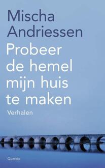 Probeer De Hemel Mijn Huis Te Maken - Mischa Andriessen
