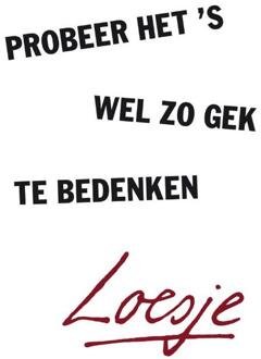 Probeer het 's wel zo gek te bedenken - Boek Loesje (9400509308)