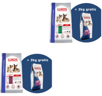 probeerpakket - met gevogelte en met eend - premium hondenvoer Large: 3 kg + 3 kg