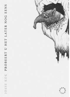 Probeert u het later nog eens