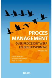 Procesmanagement - Boek Hans de Bruijn (9024404347)