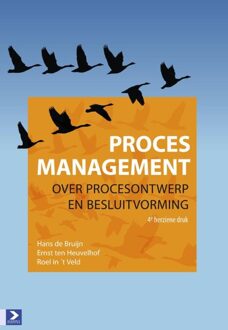 Procesmanagement - eBook Hans de Bruijn (9052619603)