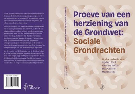 Proeve van een herziening van de Grondwet: Sociale Grondrechten - - ebook