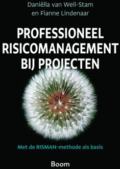 Professioneel risicomanagement bij projecten