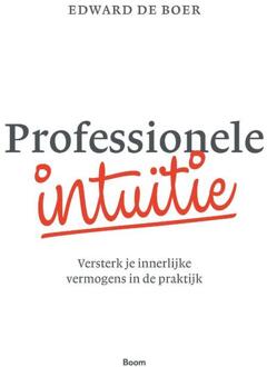 Professionele intuïtie - Boek Edward de Boer (9024401585)