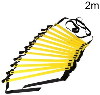 Professionele Speed Agility Ladder Voetbal Training Bandjes Trap Voor Fitness Ideaal Voor Voetbal Apparatuur Met Draagtas 2M 4 Rung
