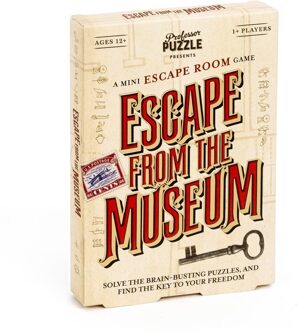 Professor Puzzle Escape from the Museum
