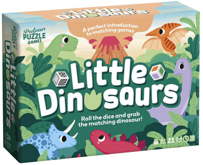 Professor Puzzle Little Dinosaurs