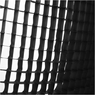 Profoto Softgrid 50 graden 1.3x2' 40x60cm