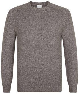 Profuomo Pullover ppwj30037b Bruin - S