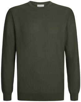Profuomo Pullover ppxj10020b Groen - L