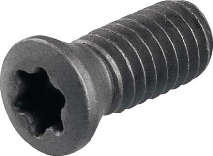 Promat/Tecwerk Spanschroef | WS0410 maat T15 - 6480141079