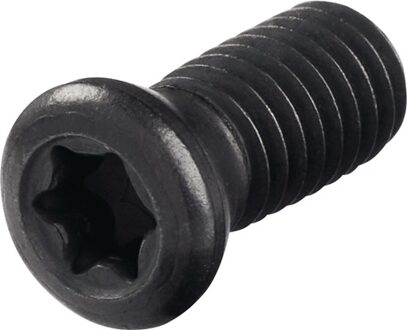 Promat/Tecwerk Spanschroef | WS0512 maat T20 - 6480151279