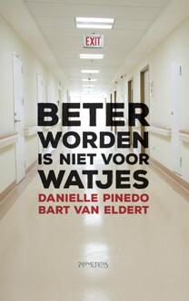 Prometheus Beter worden is niet voor watjes - eBook Danielle Pinedo (904463609X)