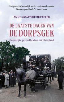 Prometheus De laatste dagen van de dorpsgek - Anne-Goaitske Breteler - ebook
