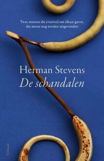 Prometheus De schandalen - Herman Stevens - ebook