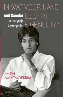 Prometheus In wat voor land leef ik eigenlijk? - Karin Amatmoekrim - ebook