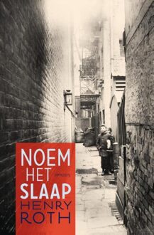 Prometheus Noem het slaap - eBook Henry Roth (904462833X)