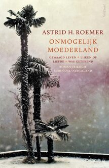 Prometheus Onmogelijk moederland - eBook Astrid H. Roemer (9044631012)